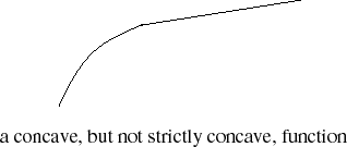 Strictly Concave Function